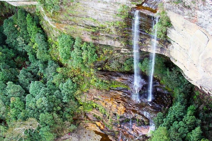 Blue Mountains Private Tour including Wildlife Park