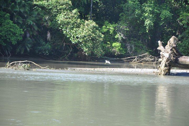 Corcovado Sirena-over night Tour