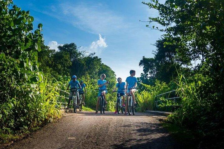 Galle: Village and Lagoon Private Cycling tour