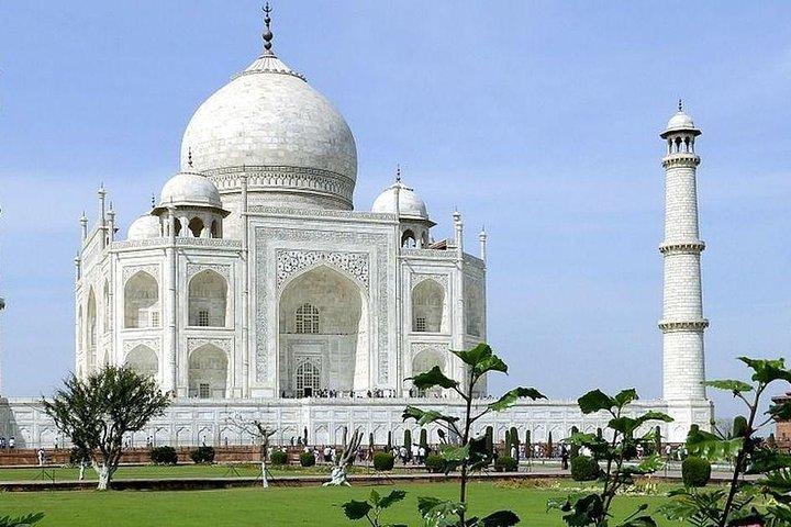 From Delhi : Delhi private Day Tour