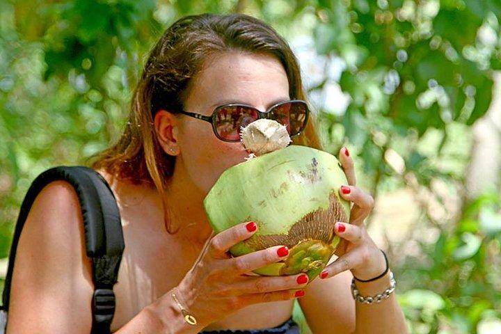 Exclusive: Southern Sri Lanka Sightseeing Private Day Trip