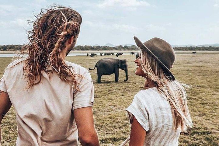Udawalawe National Park and Elephant Transit Home From Galle