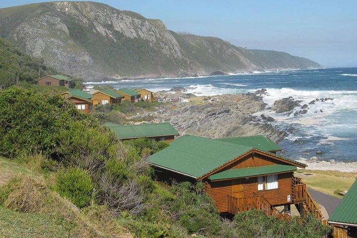 Fun and Adventure : Surges of adrenalin along the famous Garden Route - FD10