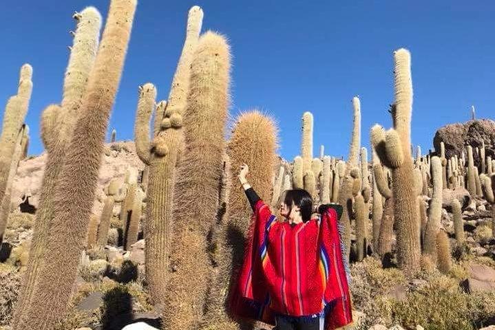 4-Day Bolivia Private Tour with English Guide from La Paz Bolivia
