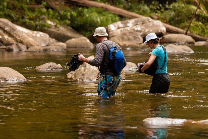 Exclusive: Private All Inclusive Overnight Rain forest adventure