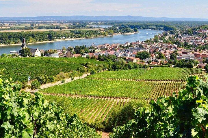 Rhine Valley Wine Tasting Tour from Frankfurt and Mainz