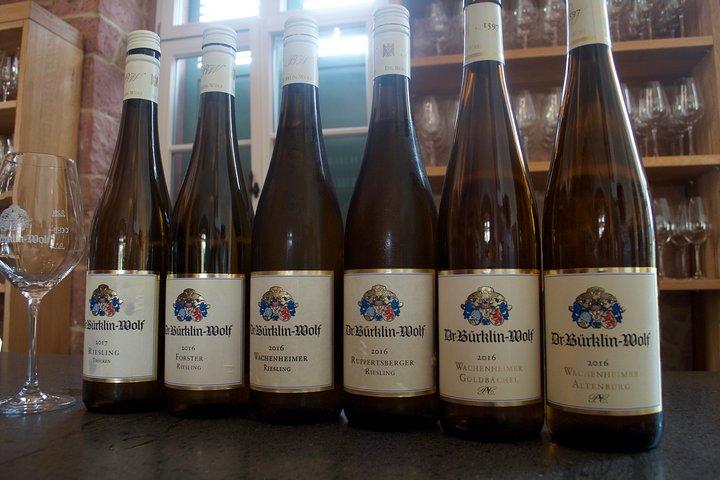 Rhine Valley Wine Tasting Tour from Frankfurt and Mainz