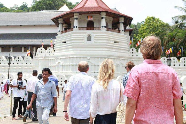 Private Custom Kandy Day Tour from Bentota & Beruwala