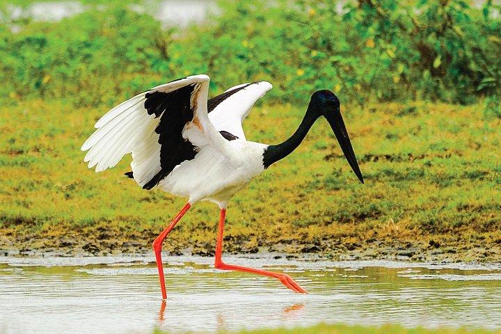 5 Days - Private Wildlife Photography Tour with Unique Accommodation options