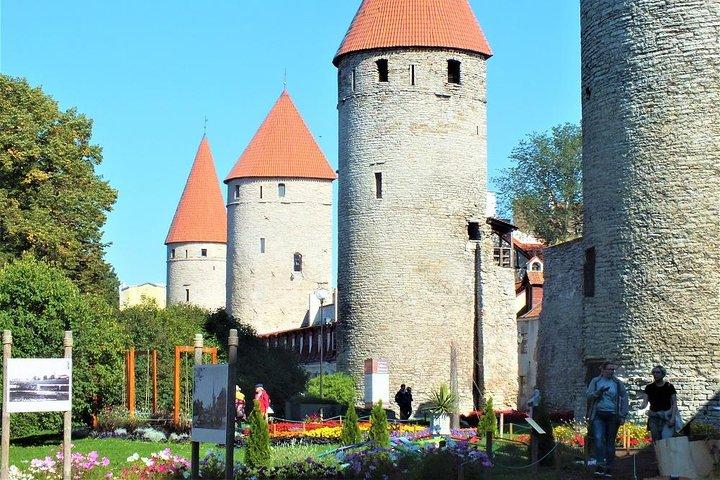 Private Shore Excursion: Tallinn Old Town Walking Tour with Round-Trip Transfer