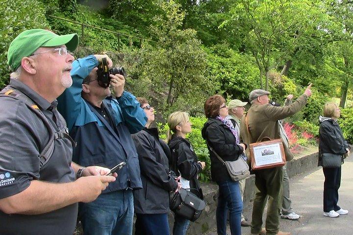 Royal Mile and Old Town Walking Tour