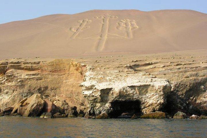 Ballestas Islands and Paracas National Reserve Day Trip from Paracas