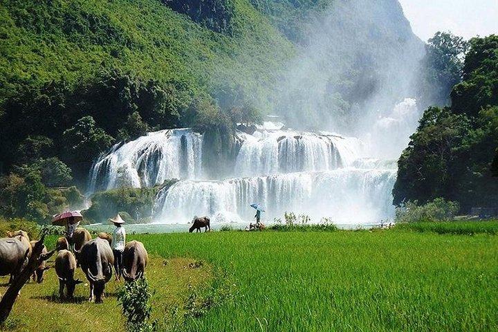 Ban Gioc Waterfall 3 Days 2 Nights From Hanoi
