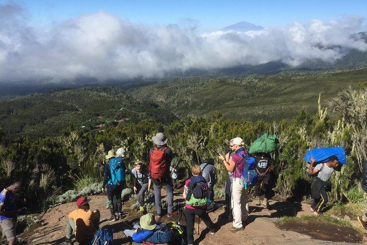 7 Days Lemosho Route