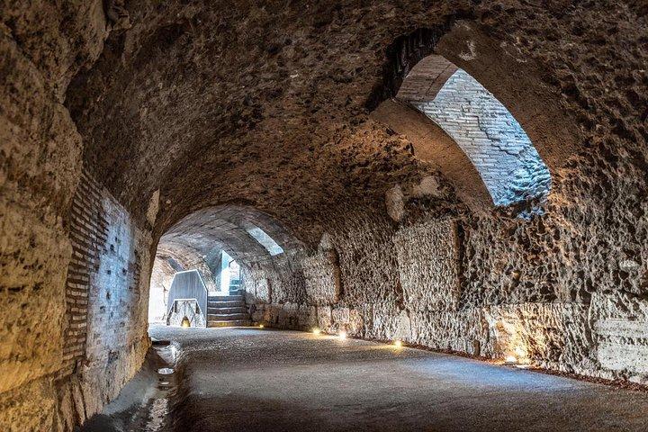 Private Colosseum Tour with Gladiator Arena Floor, Forum and Palatine Hill