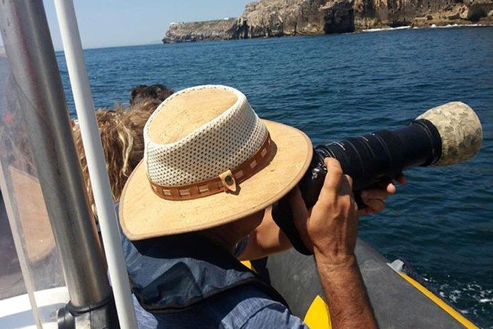 Boat Tour in Peniche