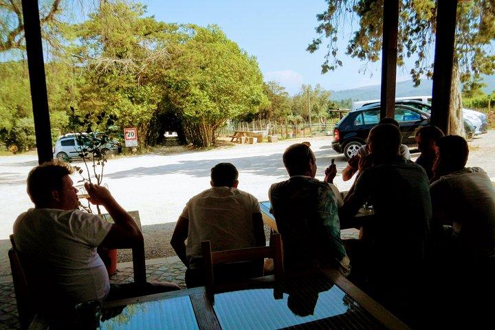 Lisbon´s South Sights & Wine Private Tour