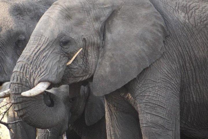 4-Day Serengeti & Ngorongoro Safari