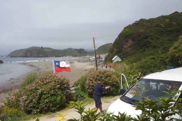 Chiloe Island - Puñihuil Tour