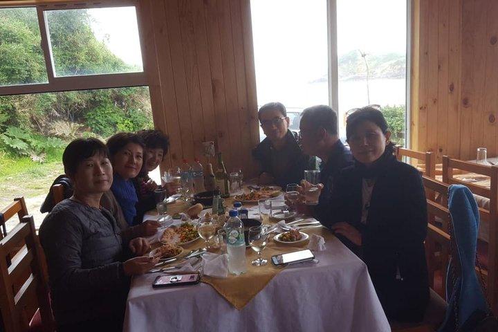 Chiloe Island - Puñihuil Tour