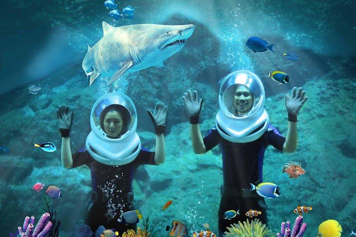 SEA LIFE & Madame Tussauds: Ultimate Bangkok Combo Ticket