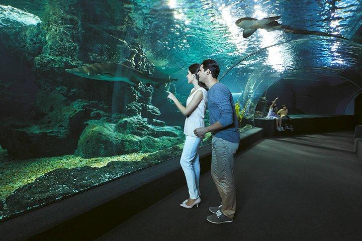 SEA LIFE & Madame Tussauds: Ultimate Bangkok Combo Ticket