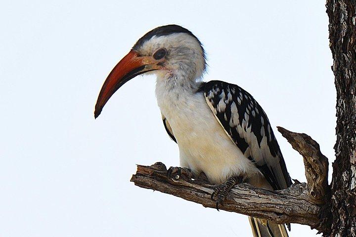 7 Days Tanzania Private Safari