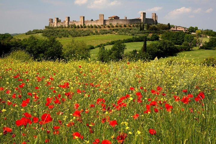 Private Tour: Guided Hike in Tuscany with Transport from Siena
