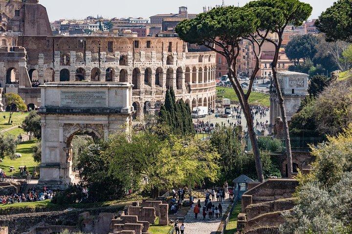 Private Tour of the Colosseum with Roman Forum & Palatine Hill