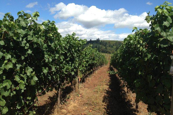 Willamette Valley Wine Tasting Tour from Portland