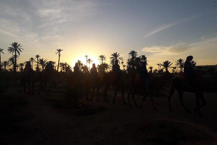Camel riding in marrakech