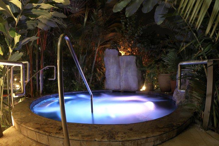 La Fortuna: Mineral Hot Springs Full Day Ticket