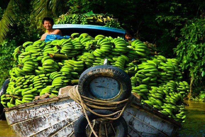 Mekong Delta 1 Day Tour