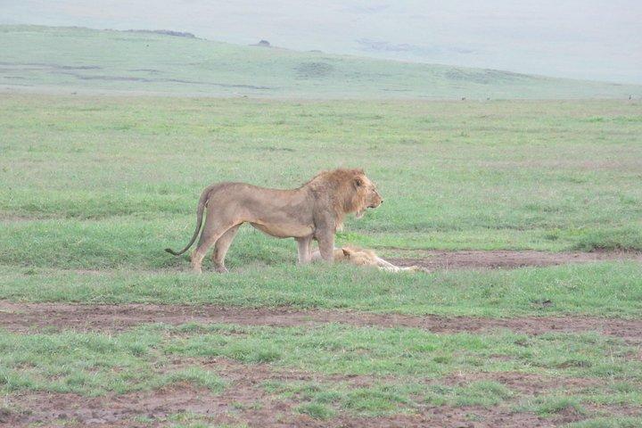 3 Days Safari to Tarangire, Ngorongoro & Lake Manyara parks