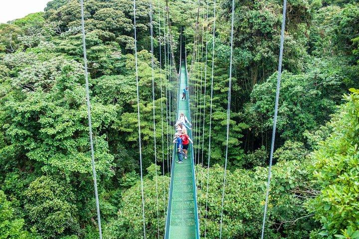 Monteverde Sky Tram & Hanging Bridges Cloud Forest Tour from San Jose