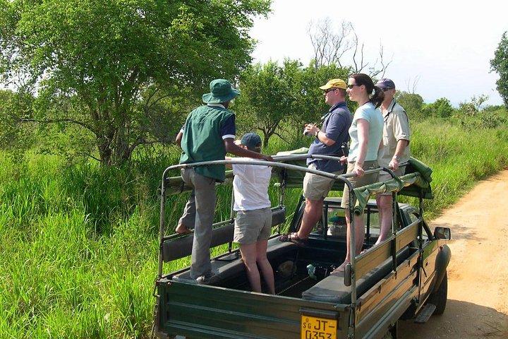 Udawalawe National Park Morning or Afternoon Game Drive
