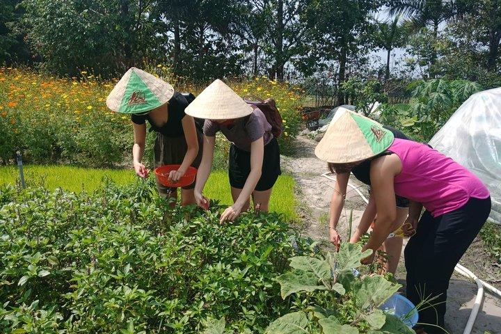 Farm-To-Table Healthy Cooking Class in Ho Chi Minh City