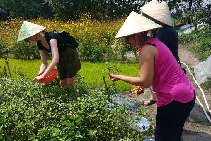 Farm-To-Table Healthy Cooking Class in Ho Chi Minh City