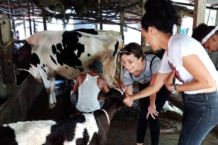 Ho Chi Minh City Full-Day Farm trip with Healthy Cooking Class