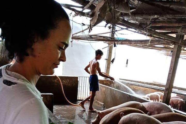 Ho Chi Minh City Full-Day Farm trip with Healthy Cooking Class