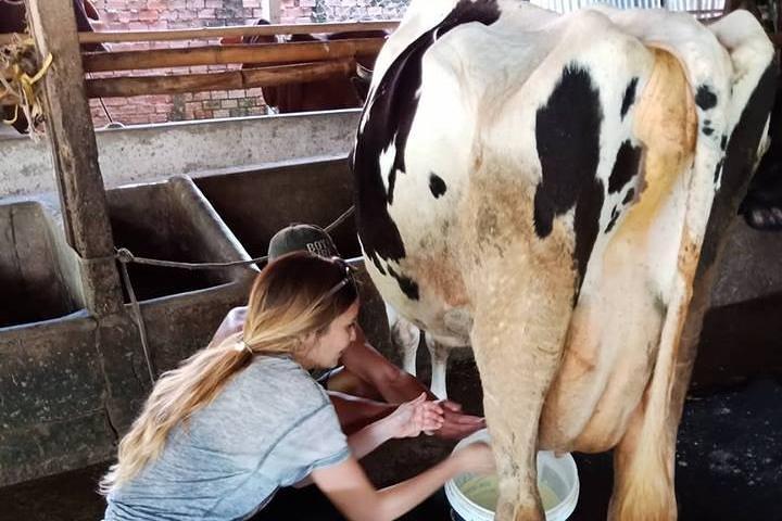 Ho Chi Minh City Full-Day Farm trip with Healthy Cooking Class