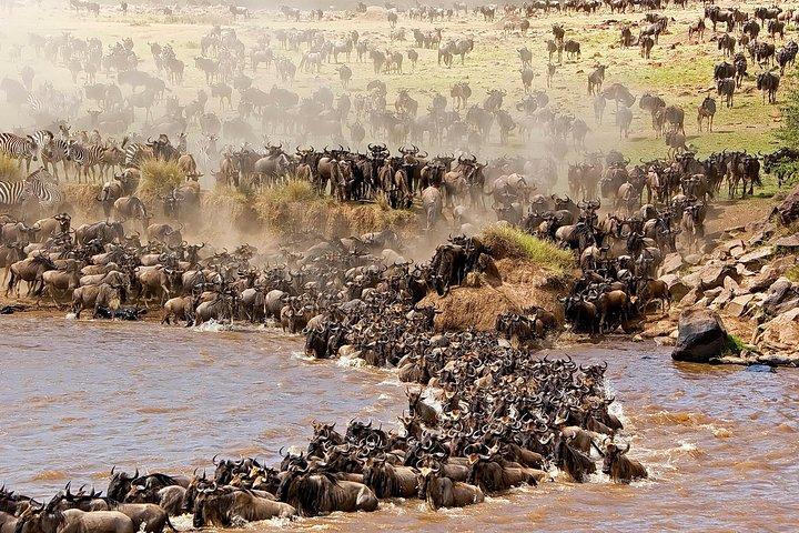 3-day Masai Mara Safari Tour to see the big five and wildebeest migration