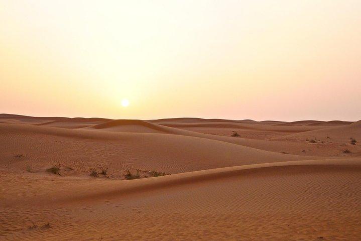 Dubai Red Dunes Desert Safari Adventure