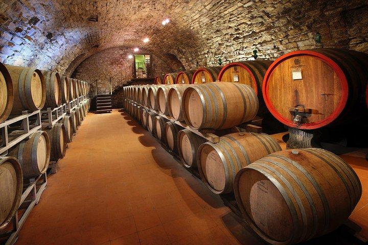 Small-Group Wine Tasting Experience in the Tuscan Countryside