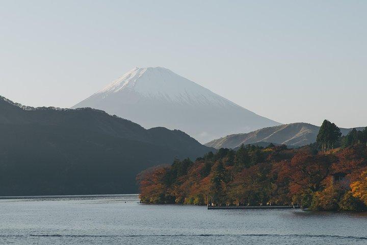 Tokyo to Hakone: Private & Personalized Day Trip with a Local