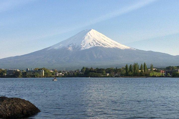 Tokyo to Hakone: Private & Personalized Day Trip with a Local