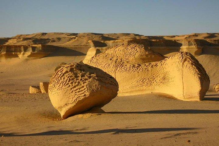 Full-Day Tour from Cairo to AL Fayoum