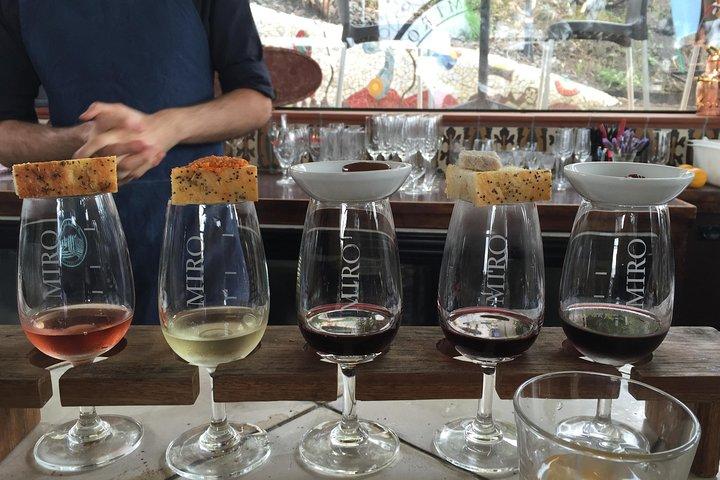 Waiheke island Wine Tours - PREMIUM wine tasting MAX 11 clients !