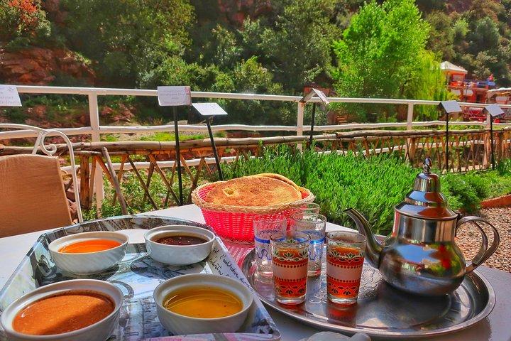 Private Atlas Mountains Day Trip