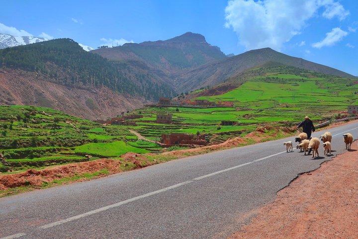 Private Atlas Mountains Day Trip